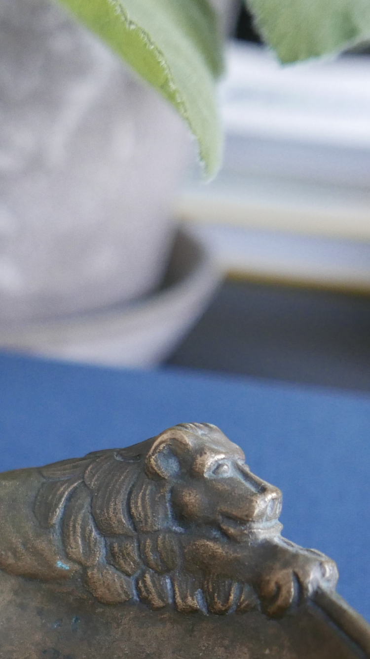 Lion bronze bowl